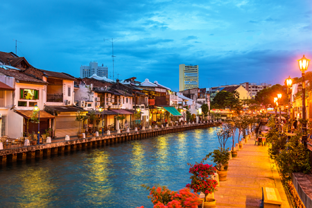 Tiptoe through the Tulips of Washington