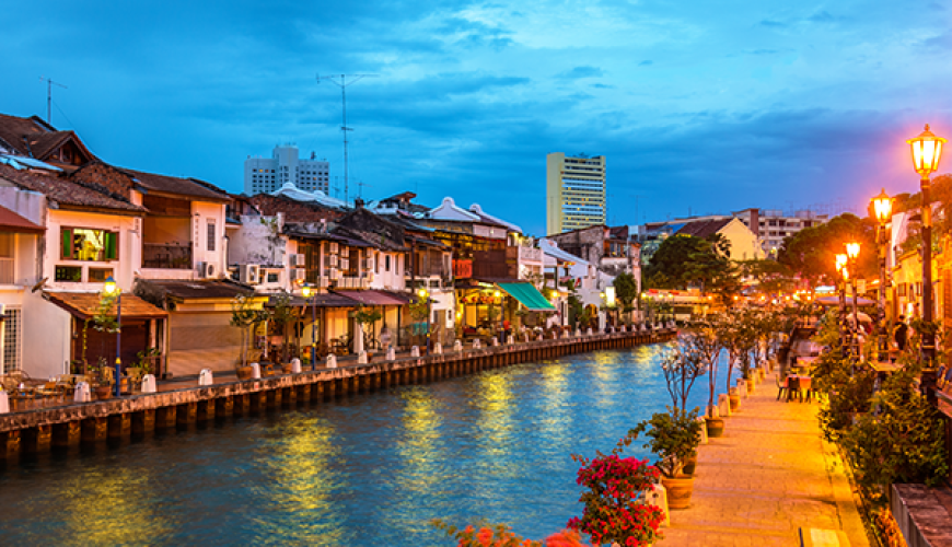 Tiptoe through the Tulips of Washington