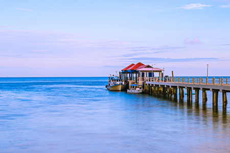 The city of San Francisco never ceases to surprise