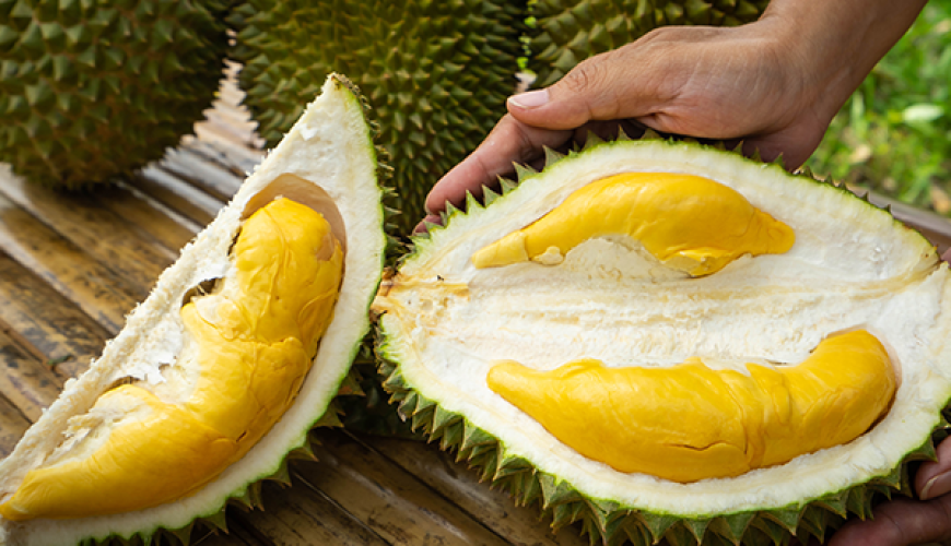 The Castle on the Cliff: Majestic, Magic, Manoir