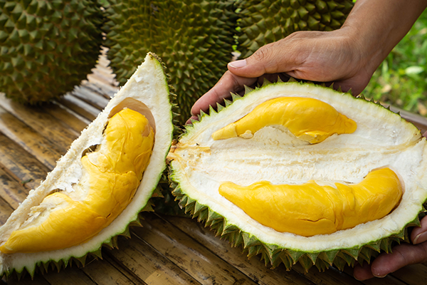 The Castle on the Cliff: Majestic, Magic, Manoir