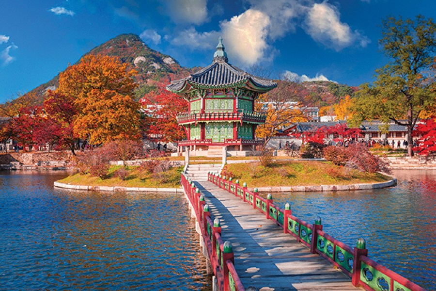 9天7夜 峰林幻境张家界 9D7N  Fantasy Rock Forest Zhangjiajie