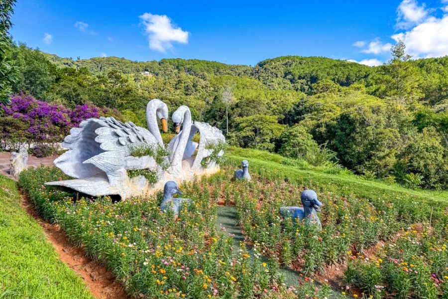 4天3晚 芽庄 / 大叻 特色 4D3N NHA TRANG / DALAT SPECIAL